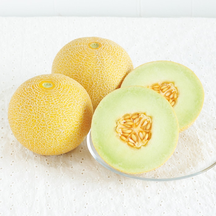 ネットメロン ころたん（R） 自根苗｜種（タネ）,球根,苗,資材