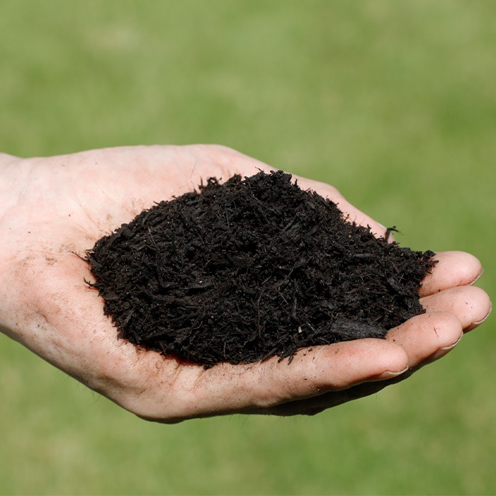 野菜三昧（R）｜種（タネ）,球根,苗,資材,ガーデニンググッズの通販は