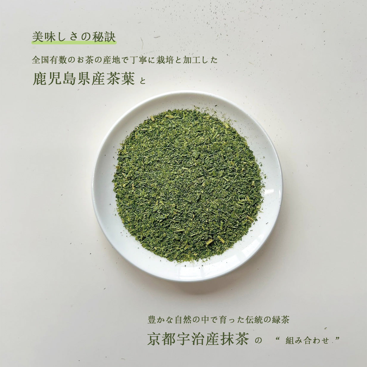 美味しい！】抹茶入り水出し煎茶ティーバッグ【5g×50P】 | お茶の沢田園