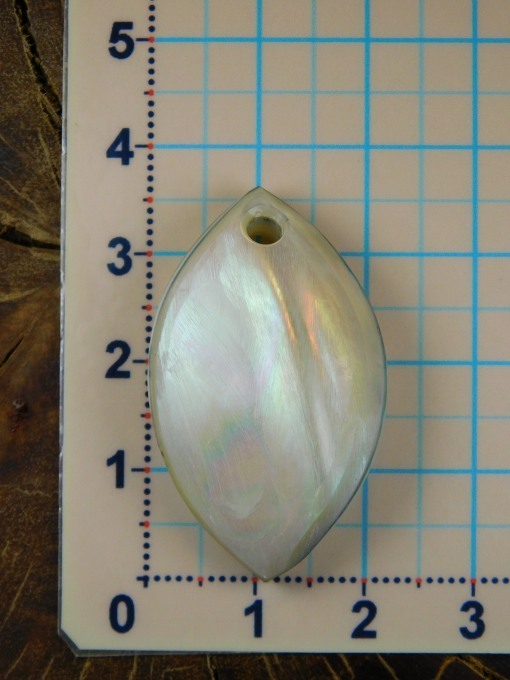 kijihata2023 夜光貝真珠磨き6と7 2個 kijihata2023 夜光貝真珠磨き6