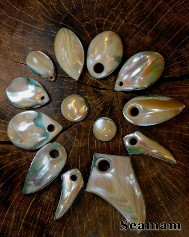 夜光貝磨き体験用パーツ≪二重真珠層パーツ≫ - Seamam夜光貝