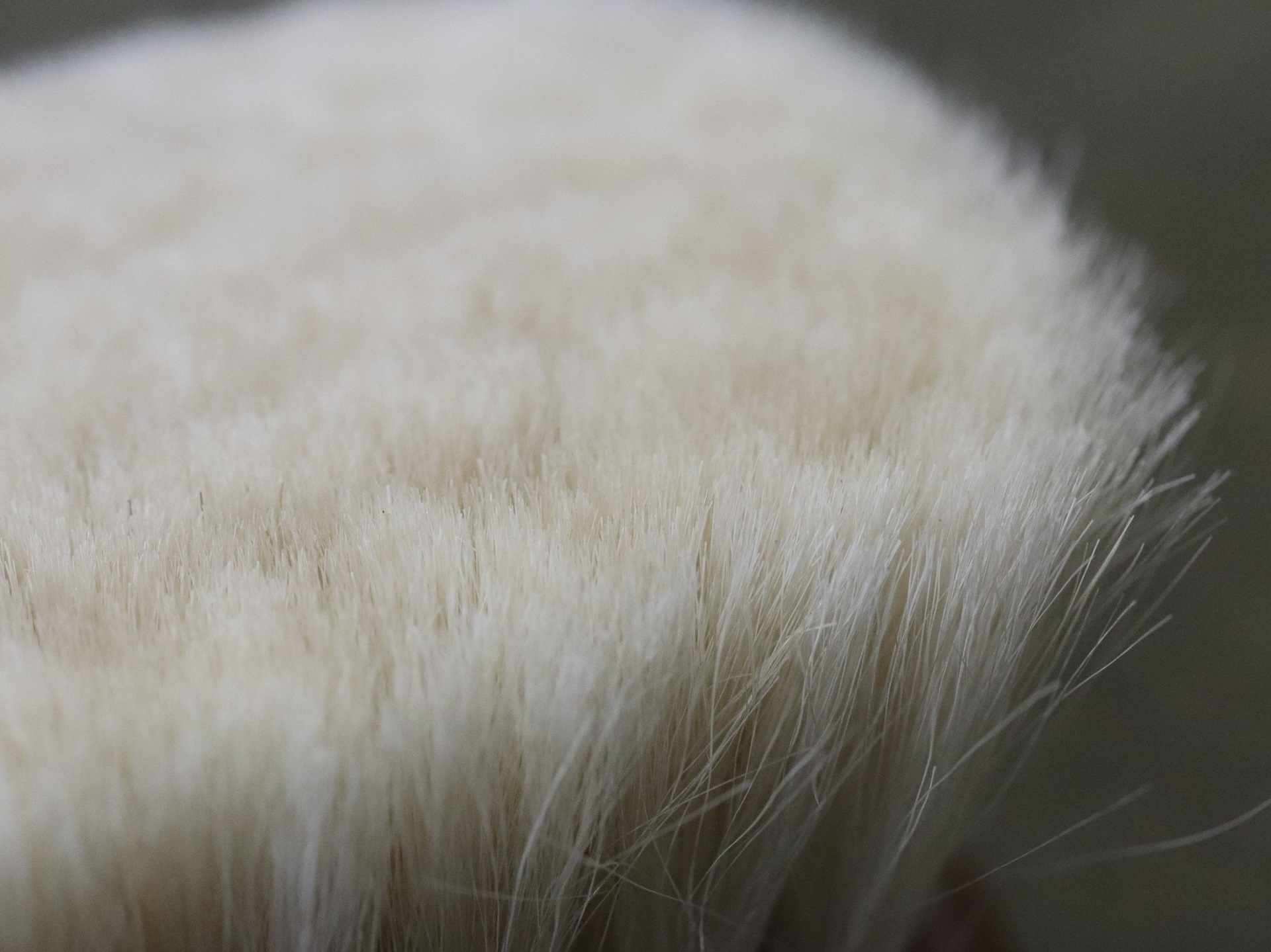 SANOHATA BRUSH 手植え 山羊毛 M.MOWBRAY公式オンラインショップ