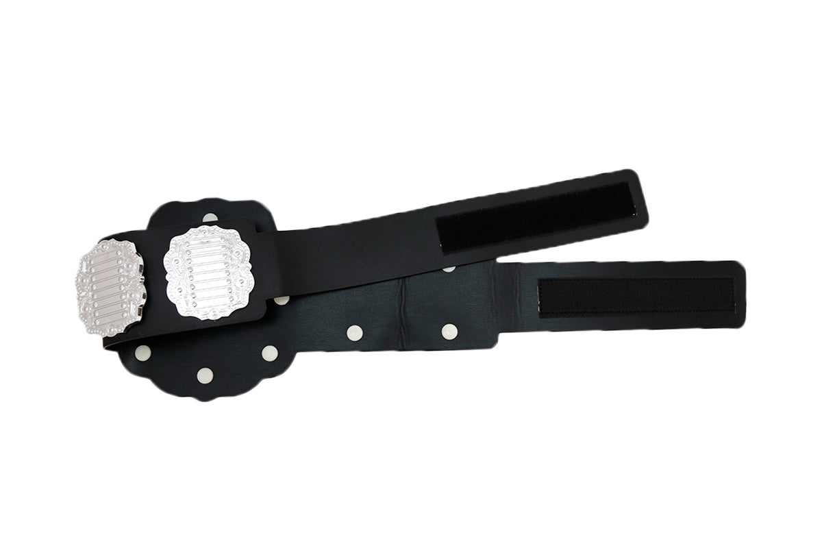 IWGP ジュニアヘビー級プラスチックチャンピオンベルト