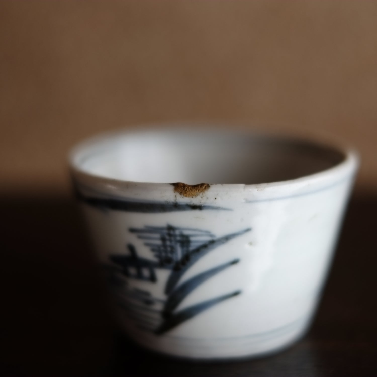 DSCF0118_1500x.jpg?v=1661474167