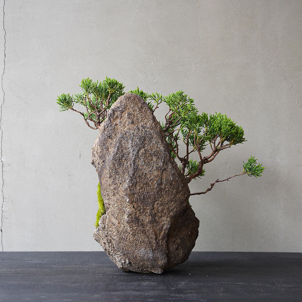 3-4_2_1000x.jpg?v=1751940124