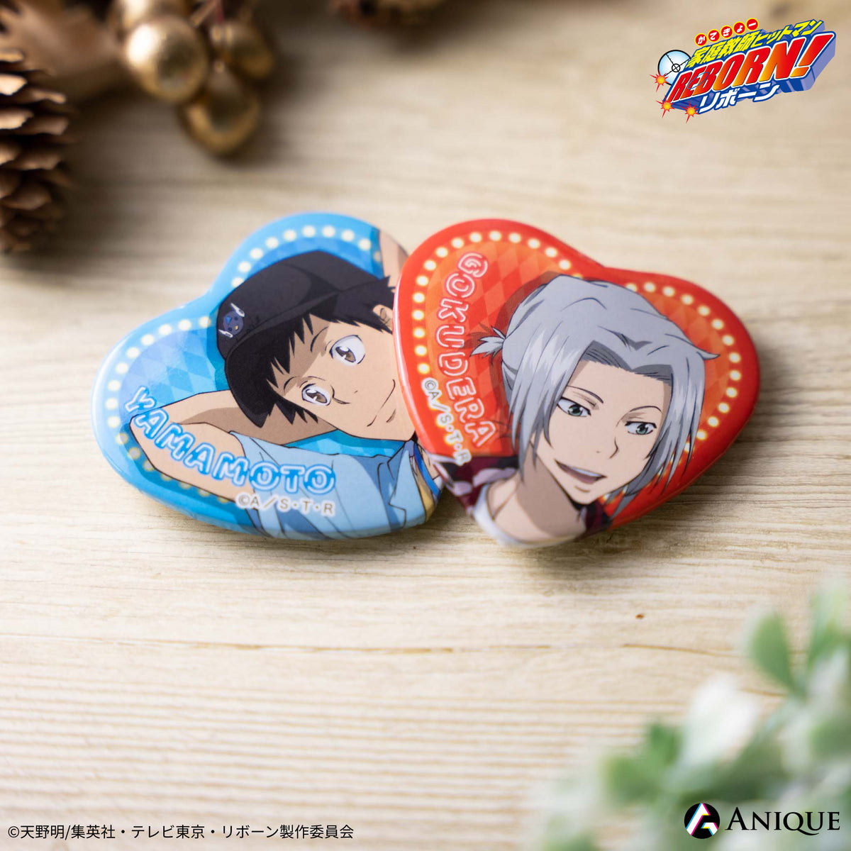 家庭教師ヒットマンREBORN コレクション缶バッジ 雲雀恭弥 リボーン