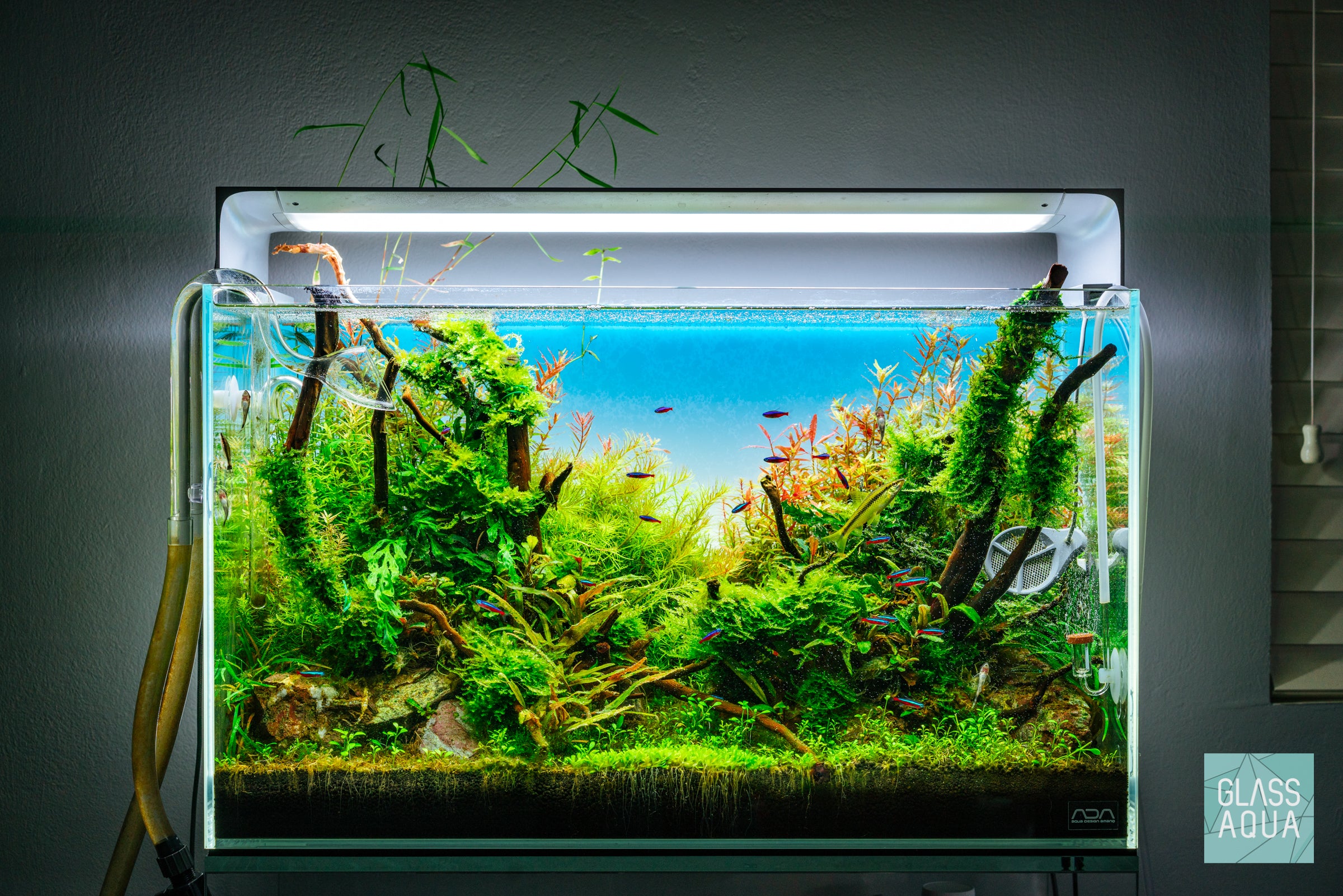 ONF Flat ONE Plus LED Light For Planted Aquariums Phone App