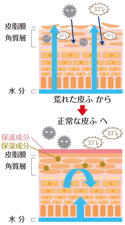 サラヤ｜ハンドローション プライムバリアローション 無香料 300mL