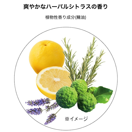 TBC ハーバルVIO ウォッシュフォーム_100mL: TBCボディケア｜TBC