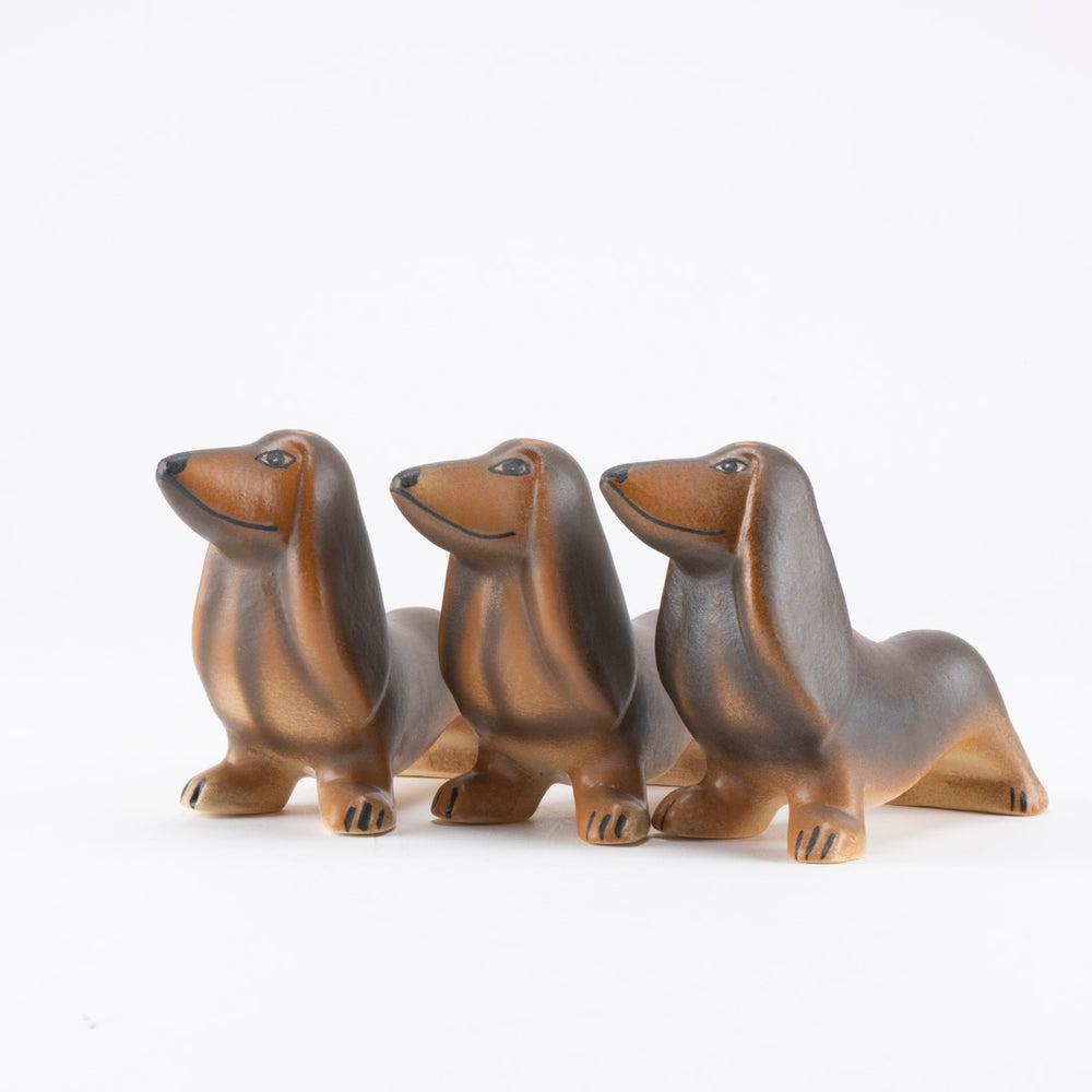 DSC5929_1000x.jpg?v=1754981587