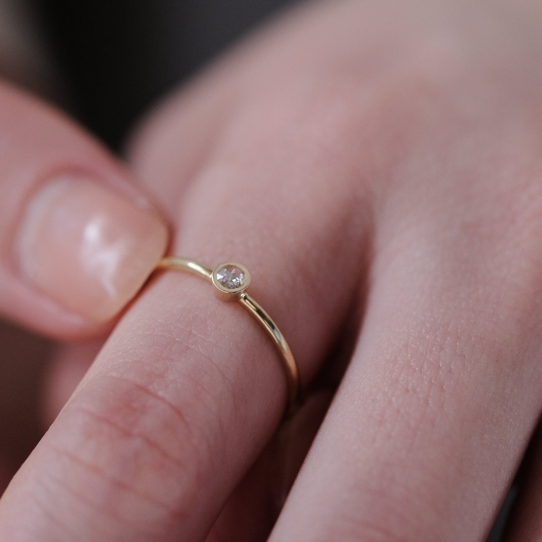 DSCF8391-2.jpg?crop=center&