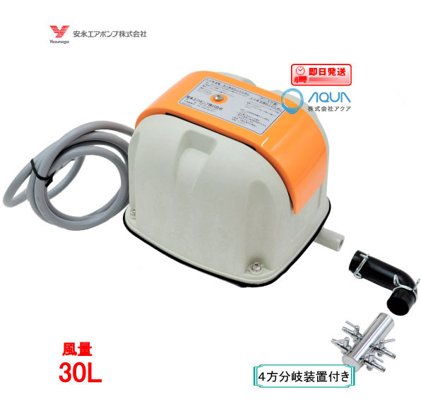 楽天市場】安永 エアーポンプ AP-40P（6方分岐装置付き） 安永