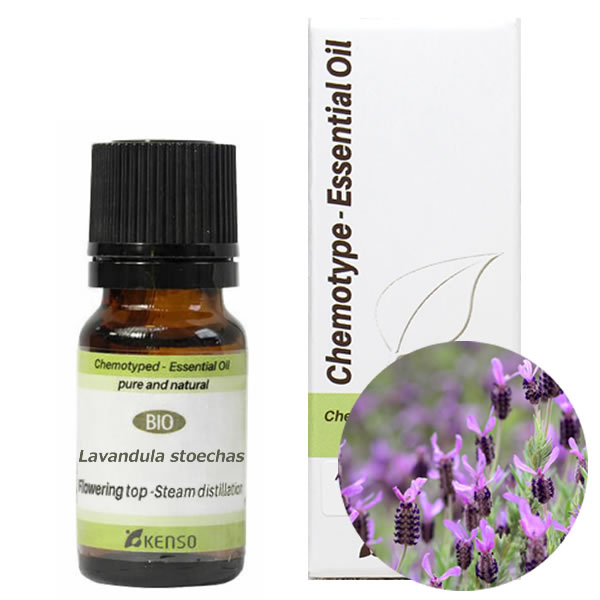 niko様 PRANAROM ラベンダーアングスティフォリア他 精油・小瓶 niko様