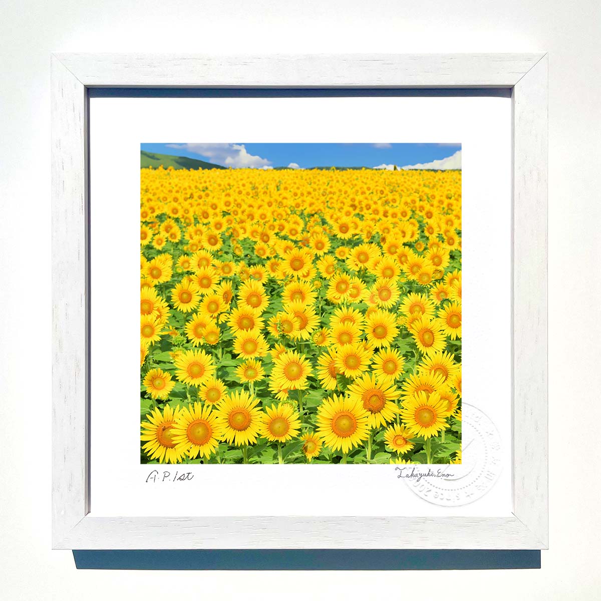 楽天市場】版画 絵画菜の花畑と太陽02/インテリア 額入り 額装込 風景