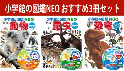 楽天市場】【 小学館の図鑑 NEO 動物 DVDつき 新版 】 ずかん NEO