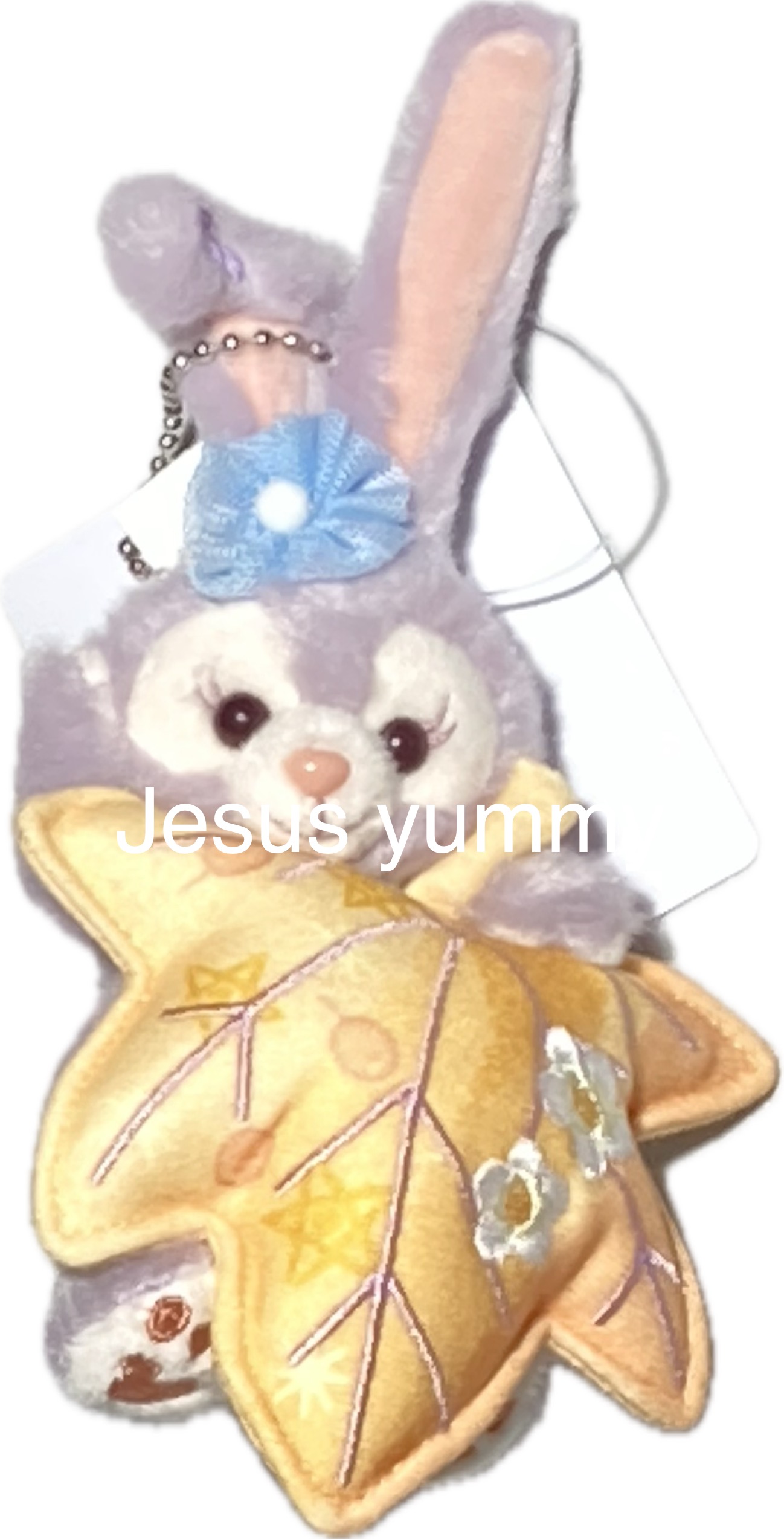 楽天市場】ステラルー ぬいぐるみ チャーム ウィッシング・ウィングス