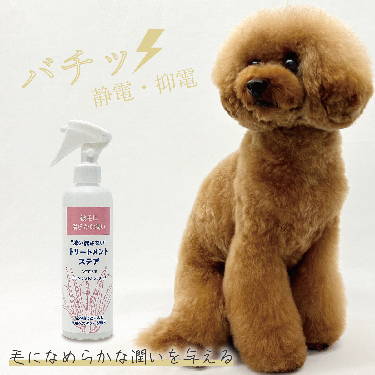 楽天市場】【アジル】オイリーコントロールシャンプー 低刺激性