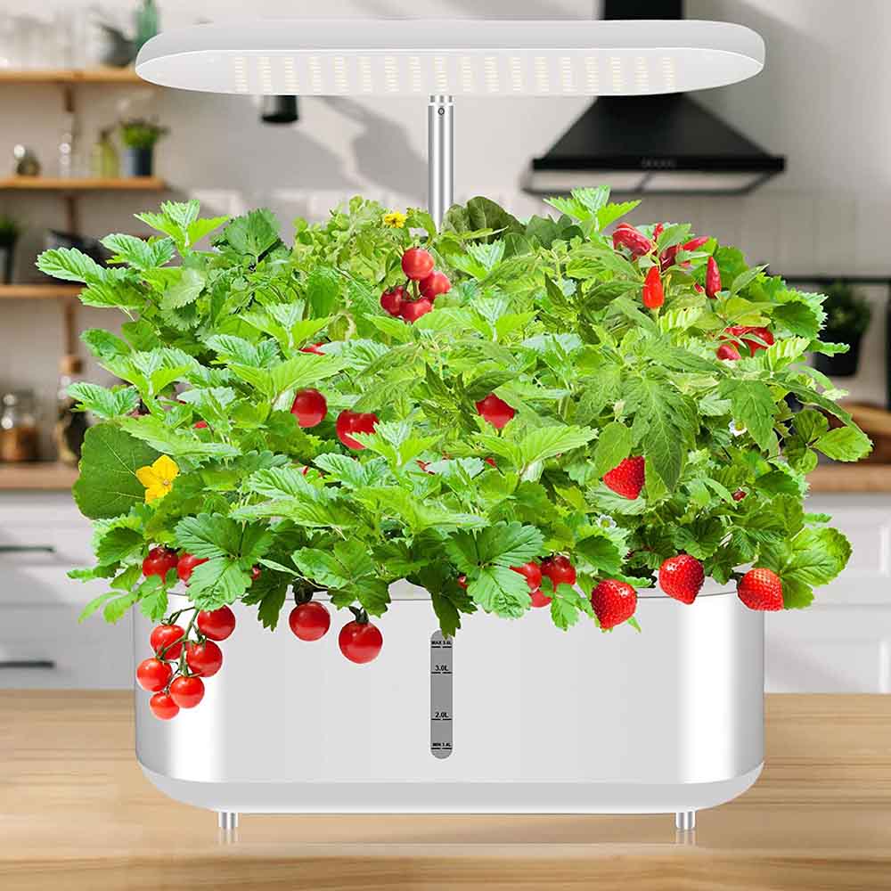 楽天市場】水耕栽培キット 室内 すいこう栽培キット 室内 水耕栽培