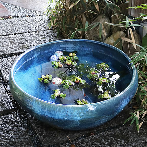 楽天市場】【ポイント10倍】スイレン鉢 大型 陶器水鉢 信楽焼 水鉢 鉢