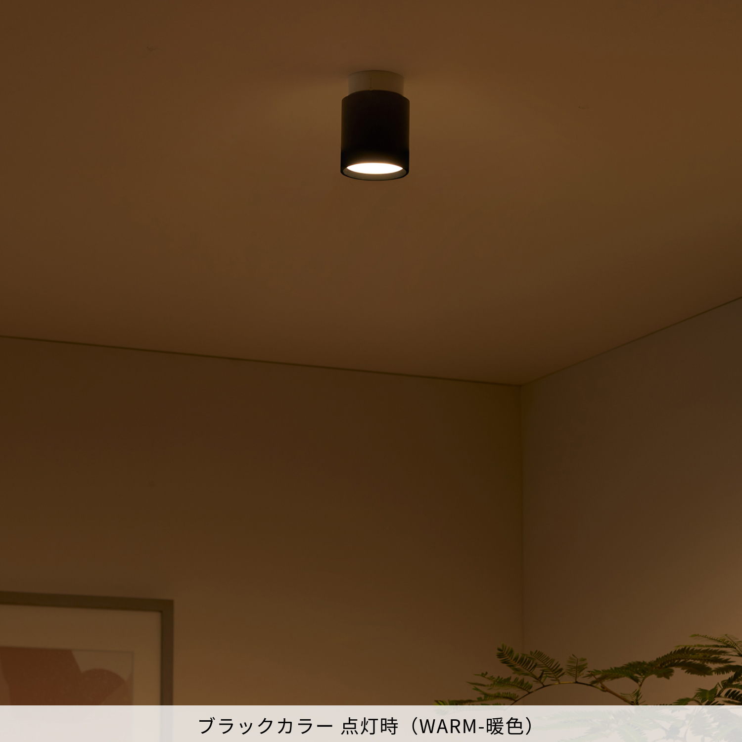 ARTWORKSTUDIO（アートワークスタジオ） 照明器具 アートワーク