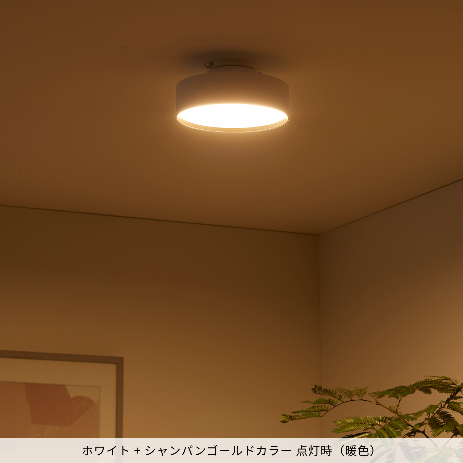 ARTWORKSTUDIO（アートワークスタジオ） シーリングライト 4畳 5畳