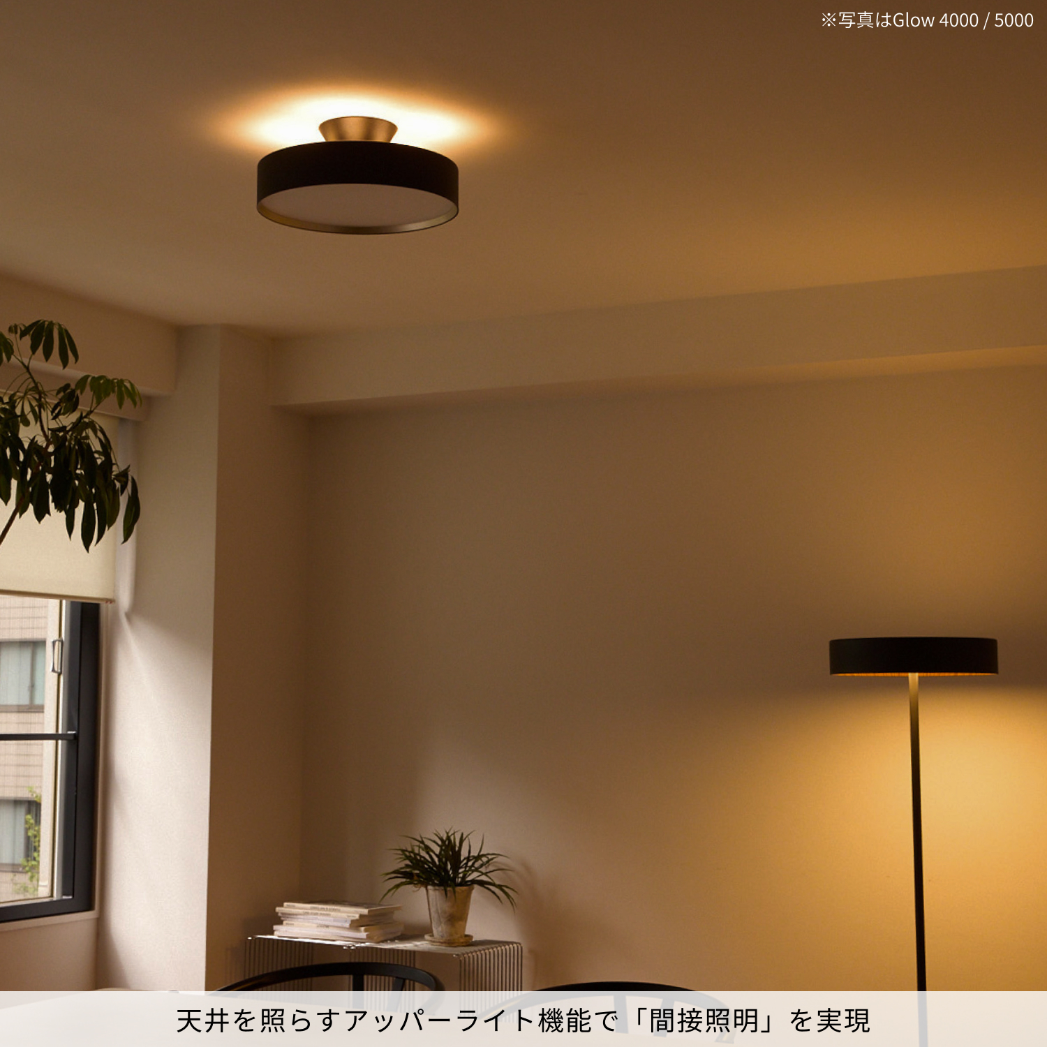 ARTWORKSTUDIO（アートワークスタジオ） シーリングライト 14畳 AW