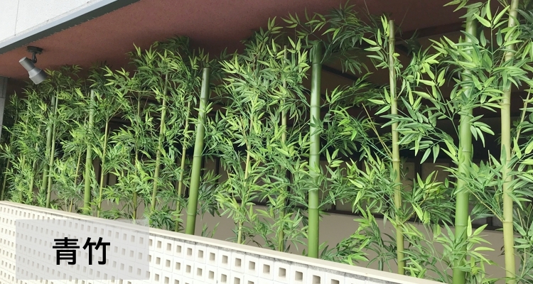 ウンベラータ 株立ち 180cm (フェイクグリーン リアル 本物 そっくり