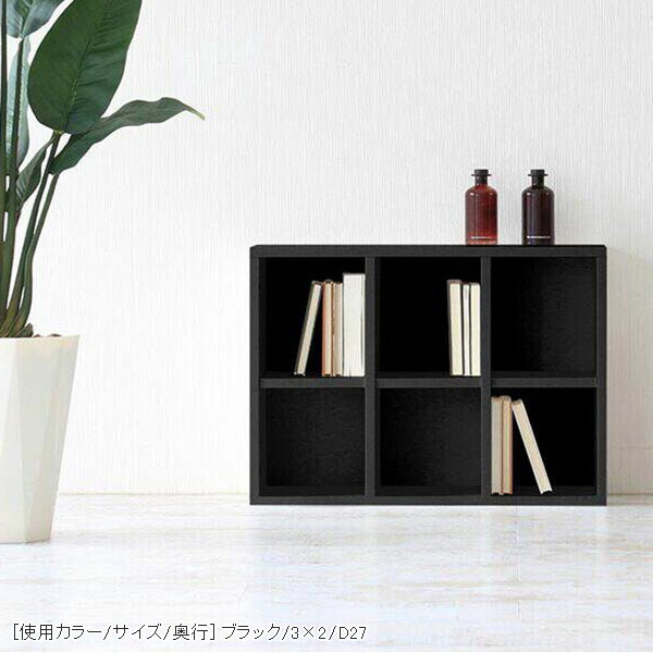 arne（アーネ） オープンラック 奥行30cm 2段 本棚 カラーボックス a4