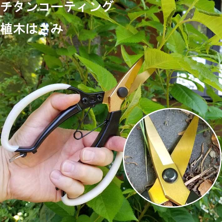 三共コーポレーション 剪定ばさみ 剪定鋏 プロ用 ガーデニング 盆栽