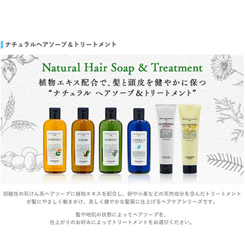 LebeL（ルベル） ナチュラル ヘア ソープ ウィズ Cyd サイプレス