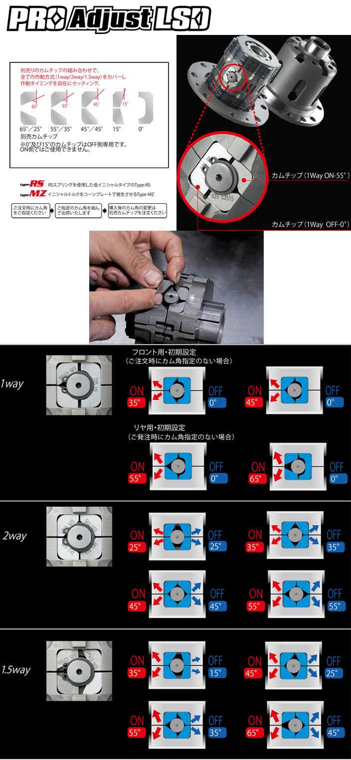 クスコ（CUSCO） LSD-2A5-R プロ・アジャストLSD type-RS 日産 RZ34