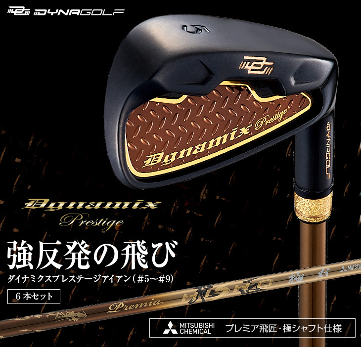DYNAGOLF（ダイナゴルフ） ゴルフ アイアンセット 6本 メンズ 新品 5I