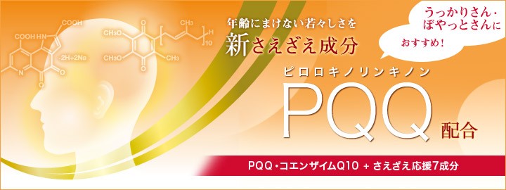 DHC サプリ 【 DHC 公式 】PQQ＋Q10 30日分 | サプリメント : DHC