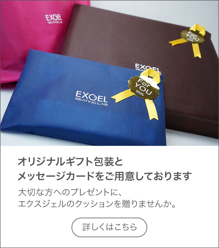 EXGEL（エクスジェル） ジェルクッション クッション 腰 姿勢 腰痛