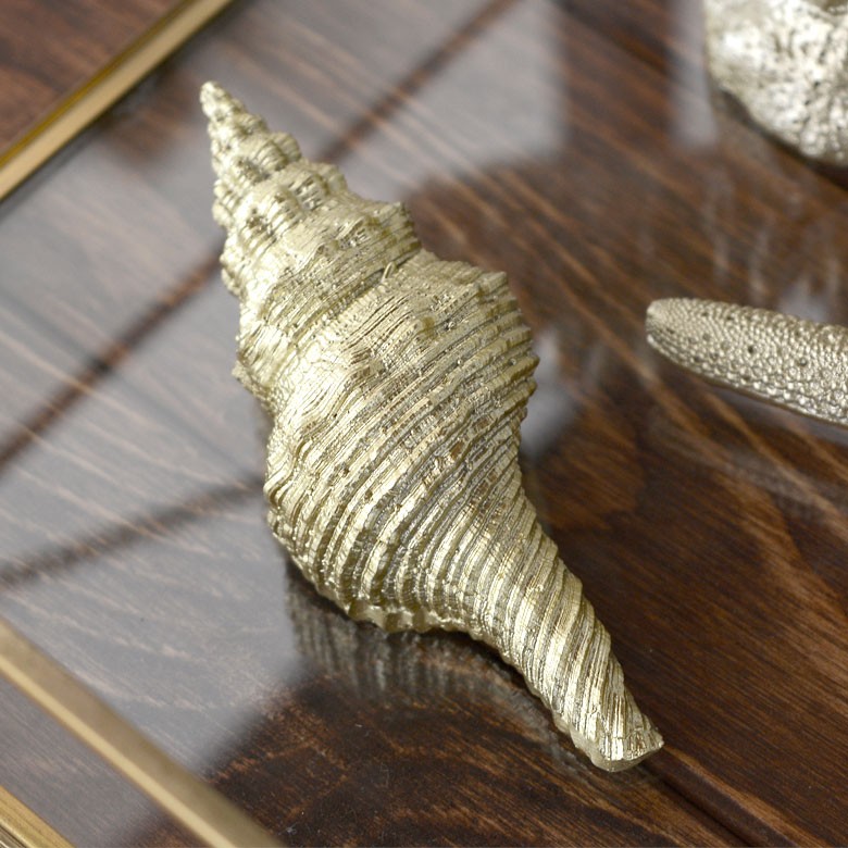 スターフィッシュ 巻き貝 貝殻 オブジェ インテリア 置物 白 ゴールド