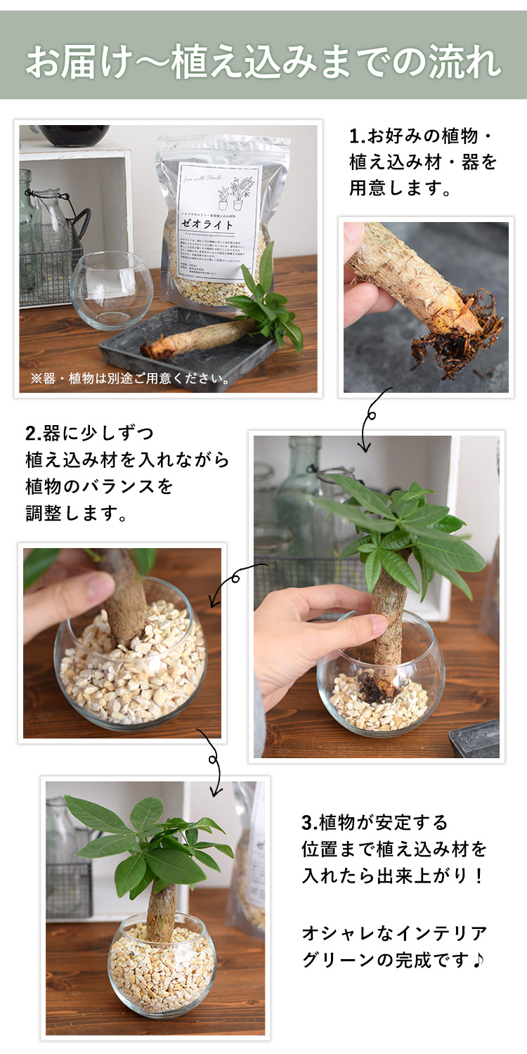 フラワーマーケット花由 ハイドロカルチャー 植え込み材 植え替え用
