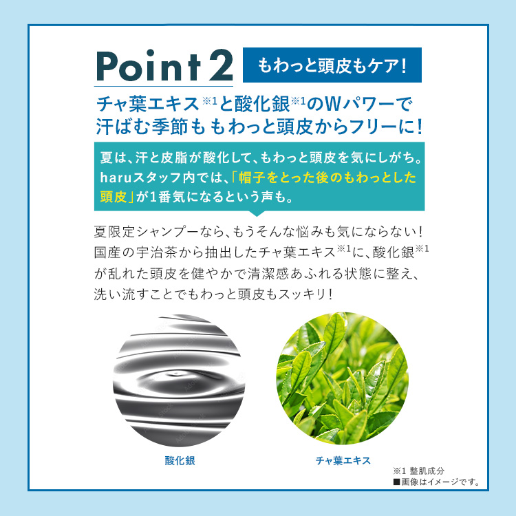 haru（ハル） 期間限定 再登場 【haru 公式】ハル｜ haruシャンプー