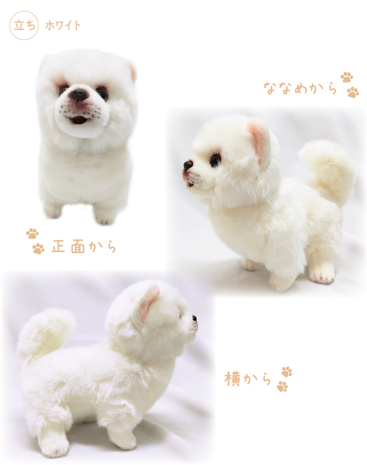 ポメラニアン サマーカット ぬいぐるみ クリーム 白 伏せ 立ち 犬