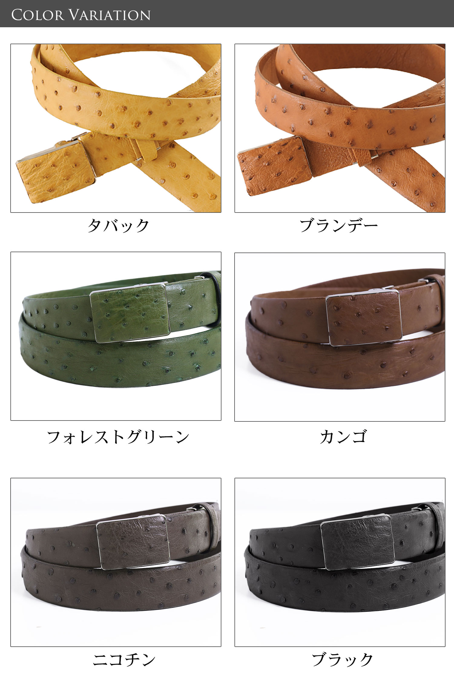 sankyo shokai（三京商会） 日本製 本革 オーストリッチ ベルト メンズ