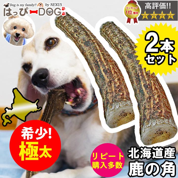 はっぴーDOG 【お買い得2本セット】鹿の角 鹿 角 XLサイズ 大型犬