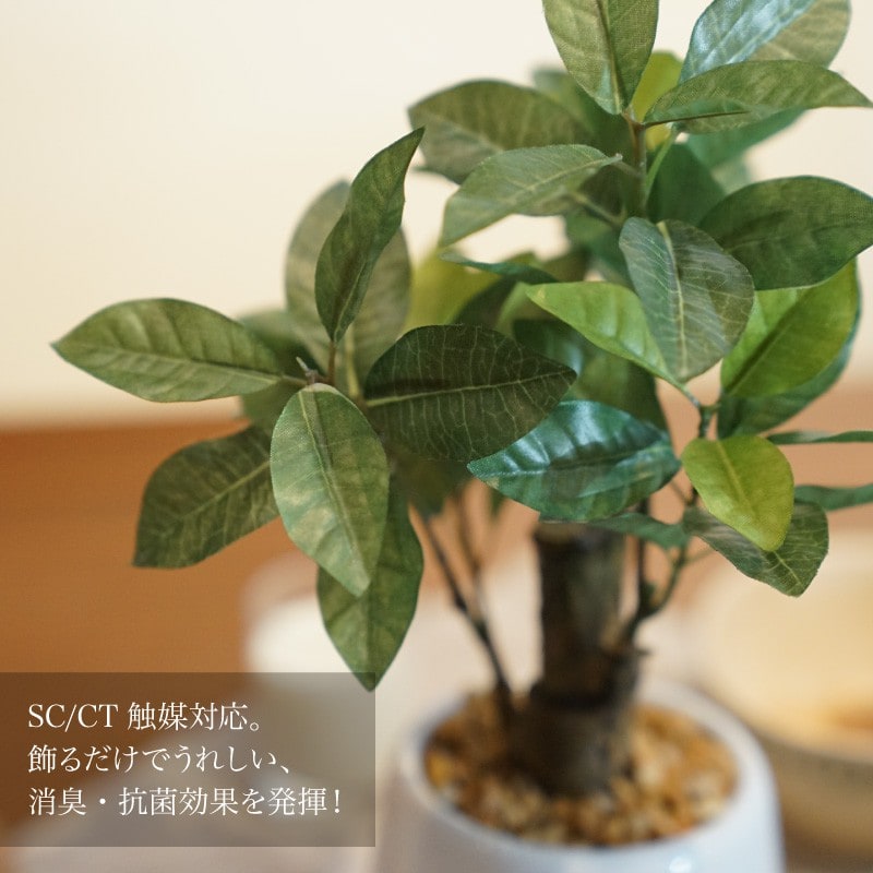 神戸花物語 フェイクグリーン ミニ 卓上 人工 観葉植物 造花 光触媒 消