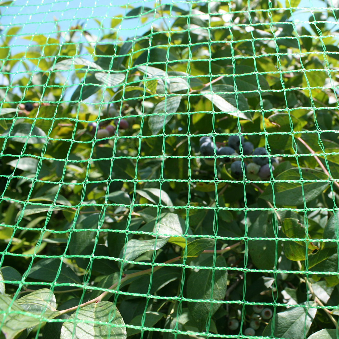 防鳥ネット 丈夫な防鳥ネット（4m×50m）1巻 目合17mm グリーン 網 防鳥