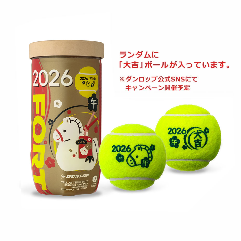 ダンロップフォートのおすすめ人気商品一覧 通販 - Yahoo!ショッピング