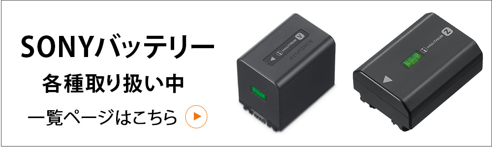 SONY（ソニー） リチャージャブルバッテリーパック NP-FZ100