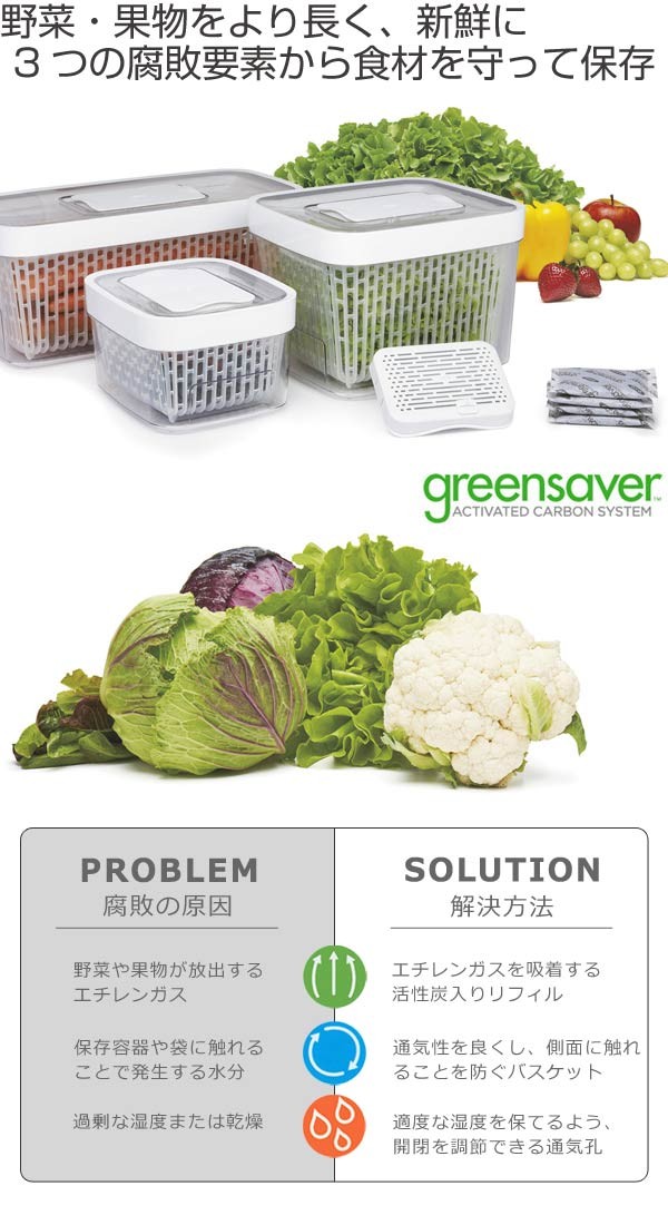 OXO（オクソー） グリーンセーバー フードキーパー 4.0L （ 保存容器