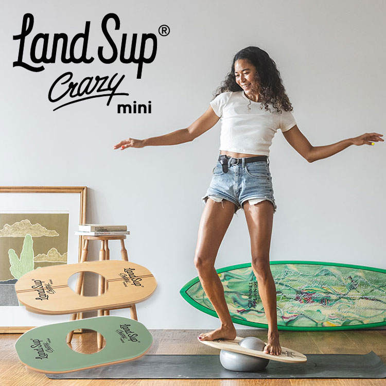 バランスボード LandSup Crazy mini ランドサップ クレイジーミニ 全2