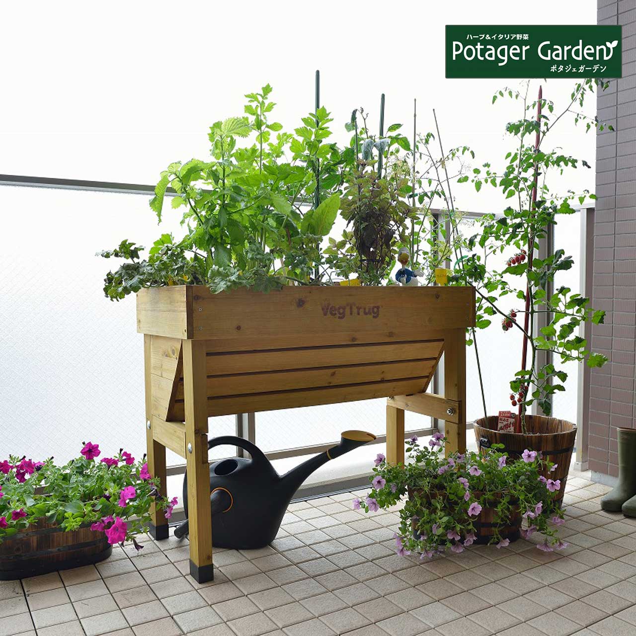 ホームベジトラグ ウォールハガー S ナチュラル（タカショー 植木鉢 鉢