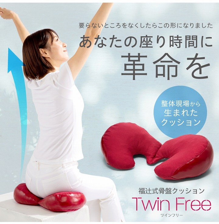 整体 座布団 体圧分散 福辻式骨盤クッション ツインフリー 骨盤