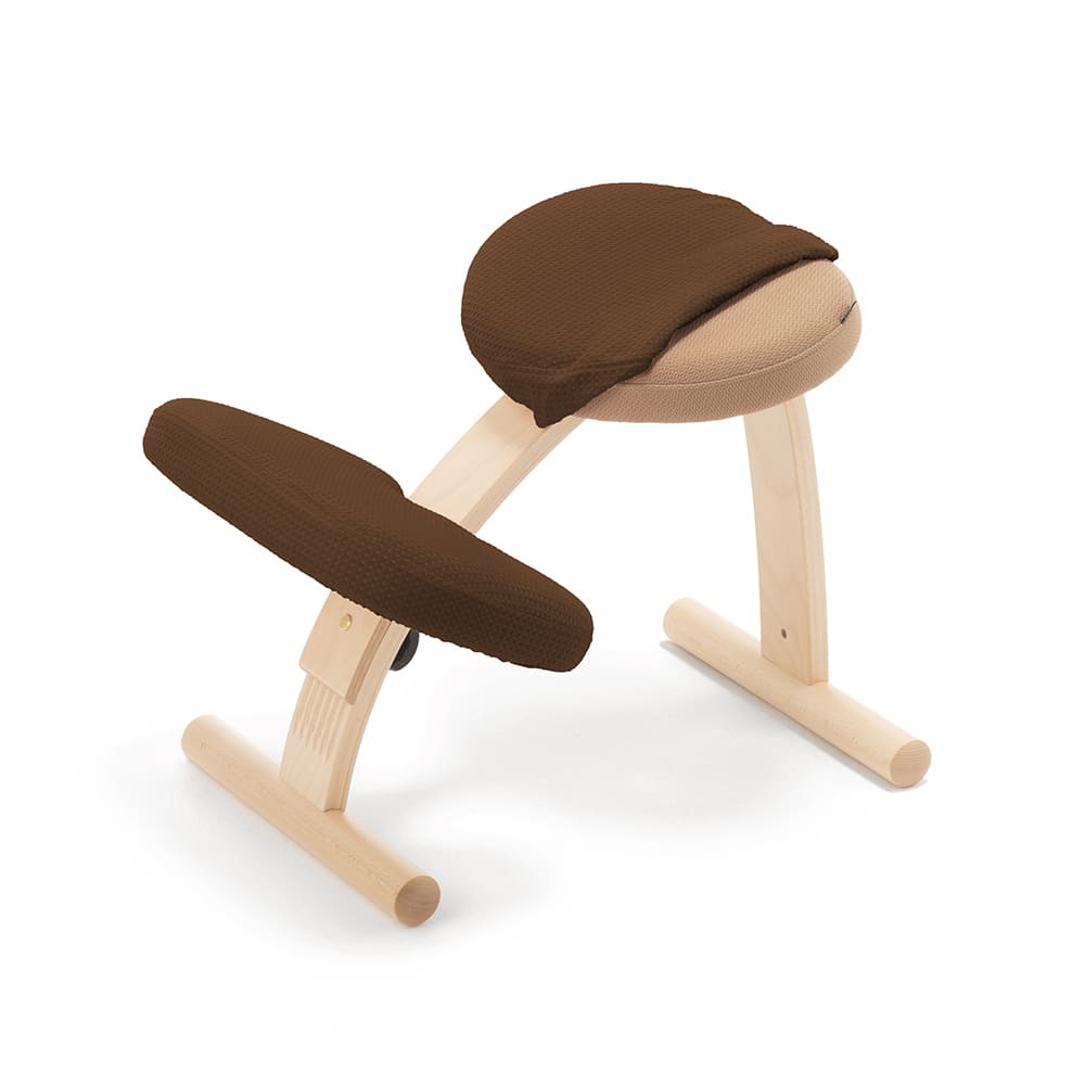 バランスラボ バランスチェア バランスチェアー バランスイージー