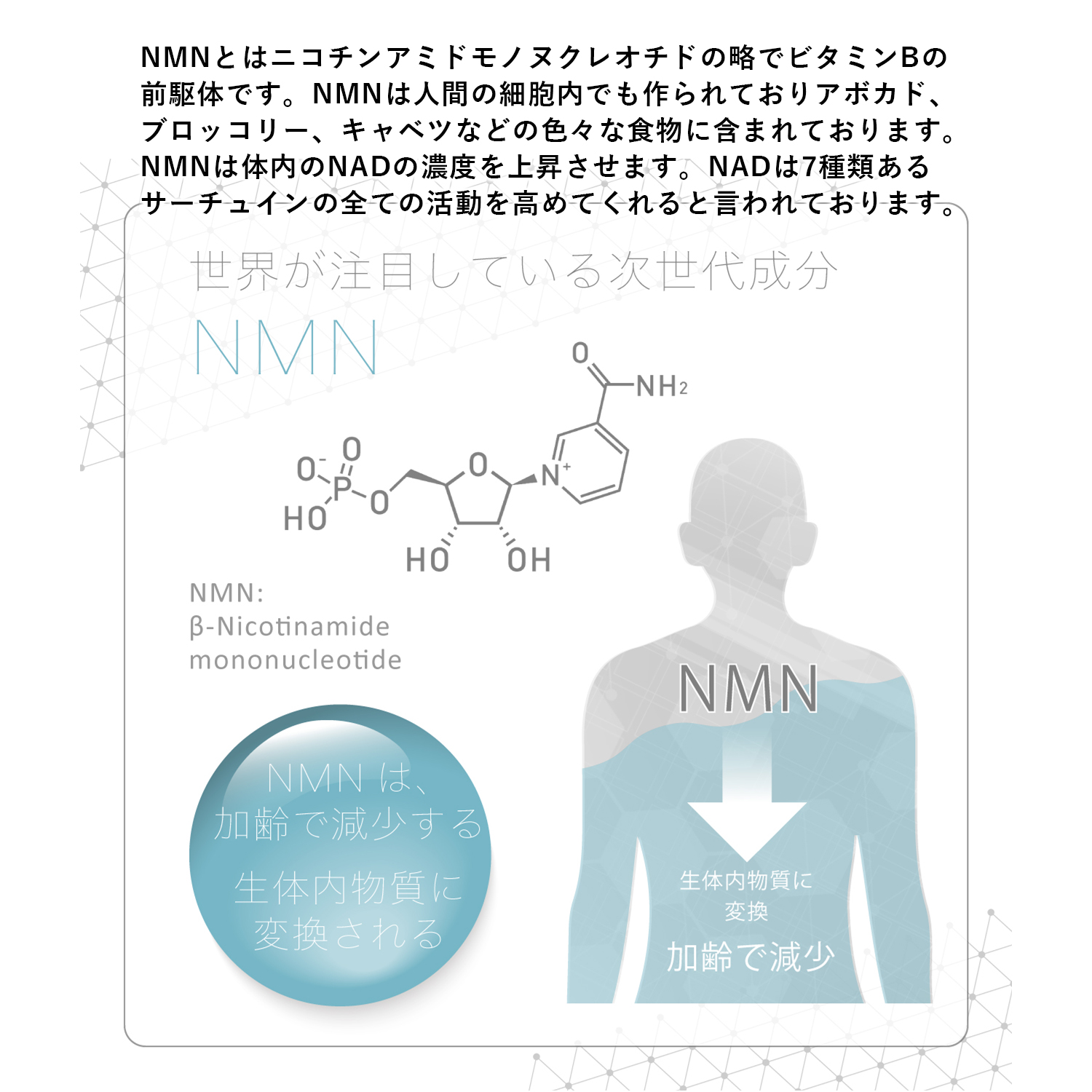 NMN サプリ 日本製 NMN20000mgPlus 明治製薬 サプリメント 健康食品
